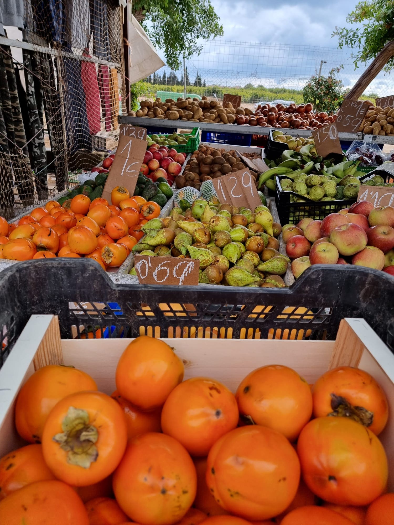 Weekly market in San Pedro del Pinatar